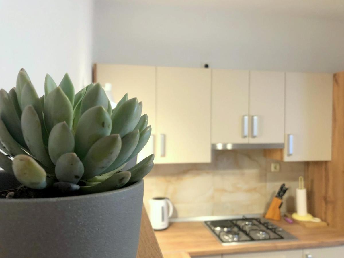Zoro Apartments Palit ภายนอก รูปภาพ